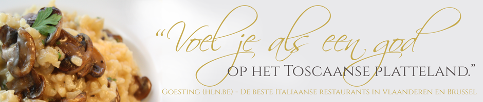 05_nl_banner.png